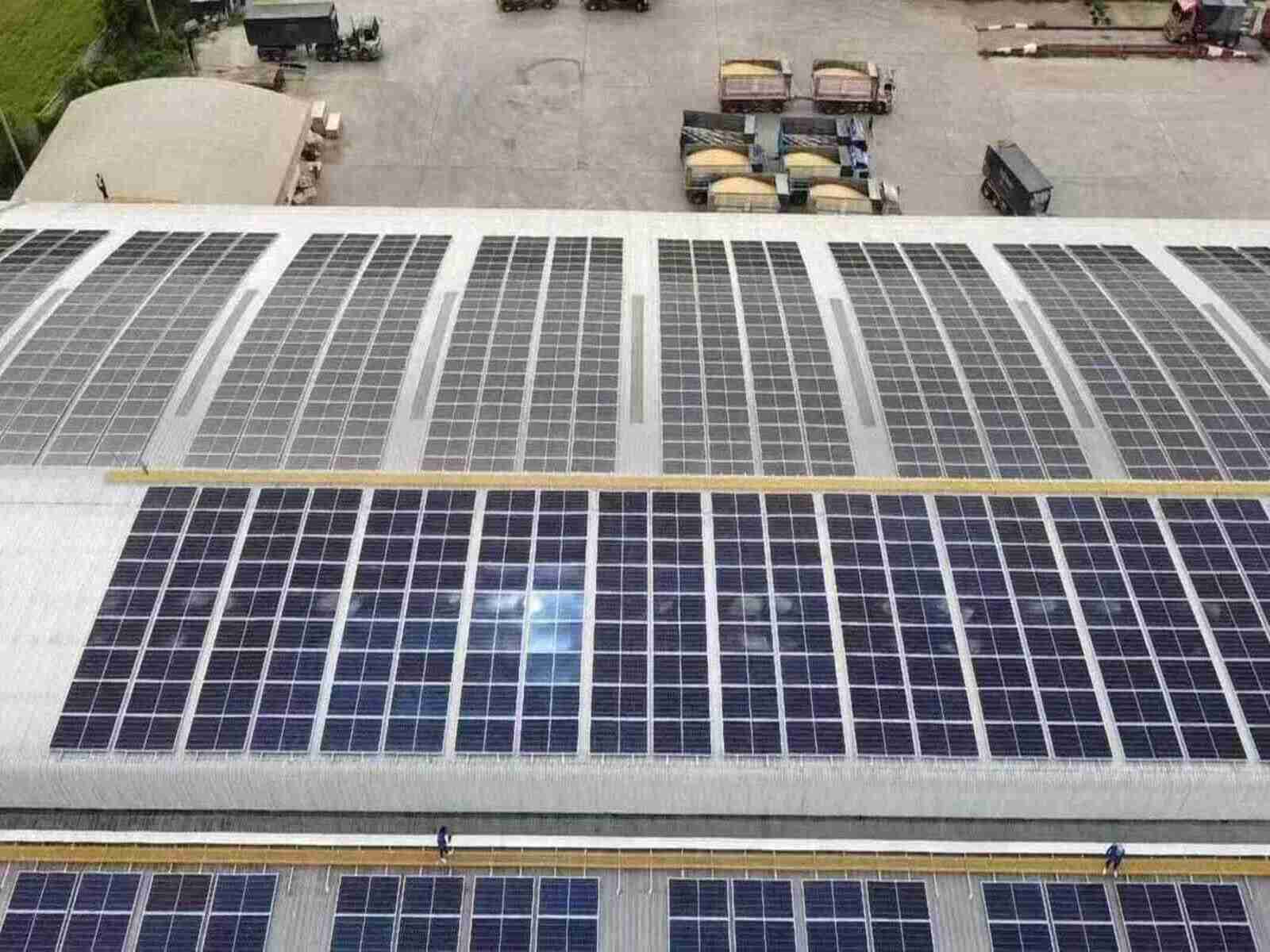 Солнечный парк Сент-Мэри-Борн: представлены планы по обеспечению электроэнергией 7200 домов